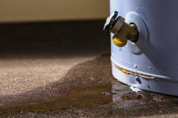 Best Basement water damage restoration  in Provo, UT