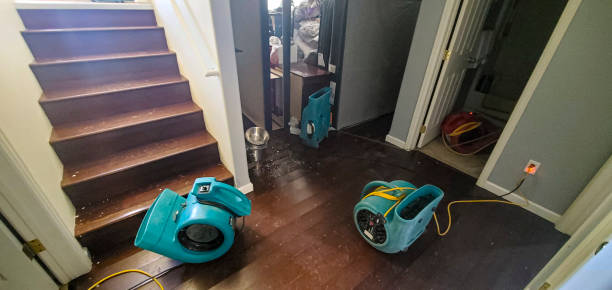 Professional Water damage restoration in Provo, UT