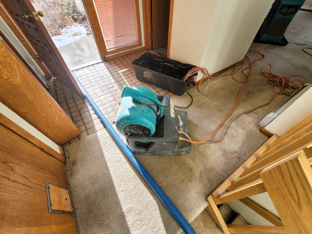 Best Emergency water extraction  in Provo, UT