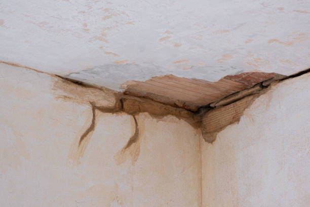 Professional Water damage restoration in Provo, UT