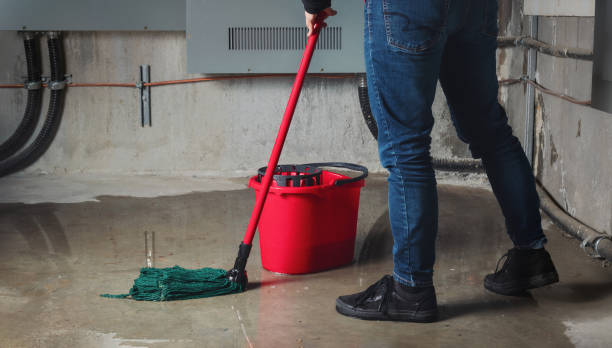 Best Flood damage cleanup  in Provo, UT