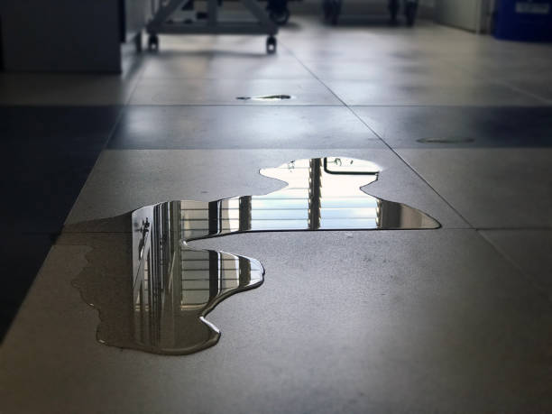 Best Local water damage restoration  in Provo, UT