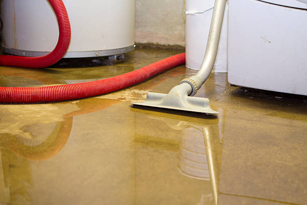 Best 24-hour water damage restoration  in Provo, UT