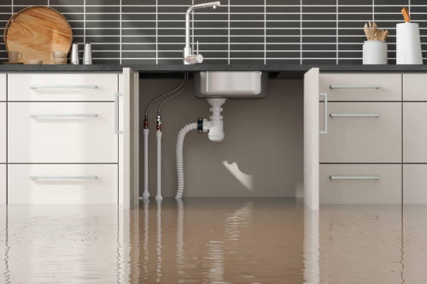 Best Professional water damage repair  in Provo, UT